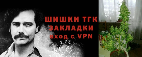 mdpv Михайлов